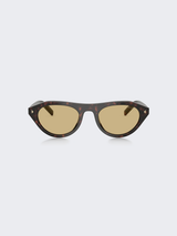BI5S Sunglasses